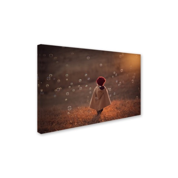 Jake Olson 'Symphony' Canvas Art,22x32